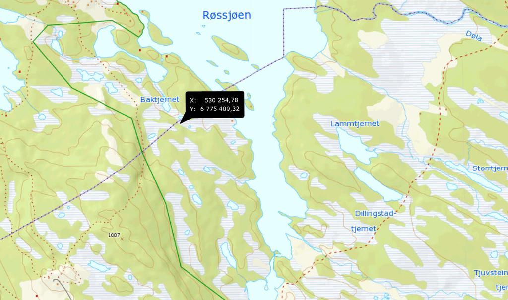 3.7 Røssjøen naturreservat Lokalitet/delområde: Røssjøen vest Feltsjekk: GHØ og Astri Aadnes 31.7.2012 På vestsida av Røssjøen ligger et myrdominert område, hvor myrene inngår i en mosaikk med til dels rik fjellbjørkeskog (spredt innslag av grovvokst gran).