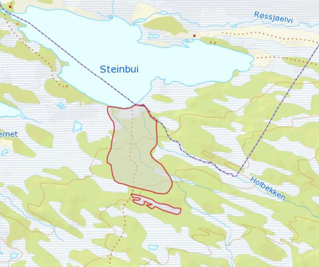 Figur 41. Naturtypelokalitet med rik bjørkeskog sør for Steinbui i Røssjøen naturreservat Lokalitet/delområde: Røssjøen Feltsjekk: GHØ og Astri Aadnes 9.5.