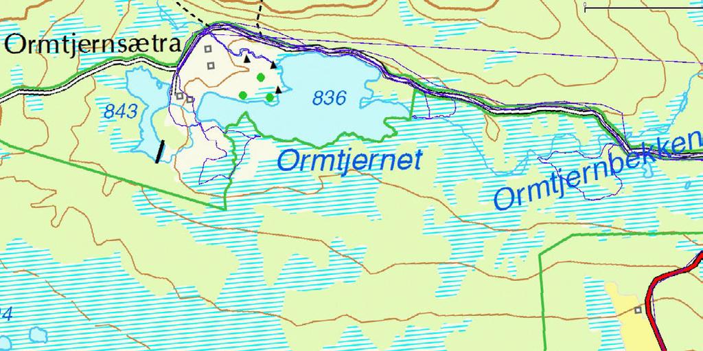 3.9 Oppsjømyra naturreservat Lokalitet/delområde: Ormtjernet Feltsjekk: Tanaquil Enzensberger, Thor Østbye, GHØ og BHL 10.7.
