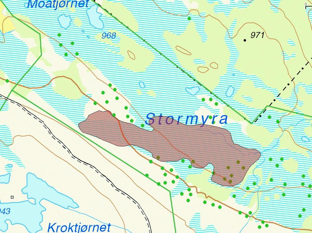 Figur 50. Lokaliteten med huldrestarr (VU) på Stormyra. Selve voksestedet er sentralt i nordre del av lokaliteten, men myrareal med potensial for arten er avgrenset.