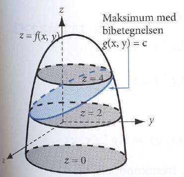 Vedlegg B: Student nummer: Marker tydelig på figuren maksimum av z=f(x,y) under