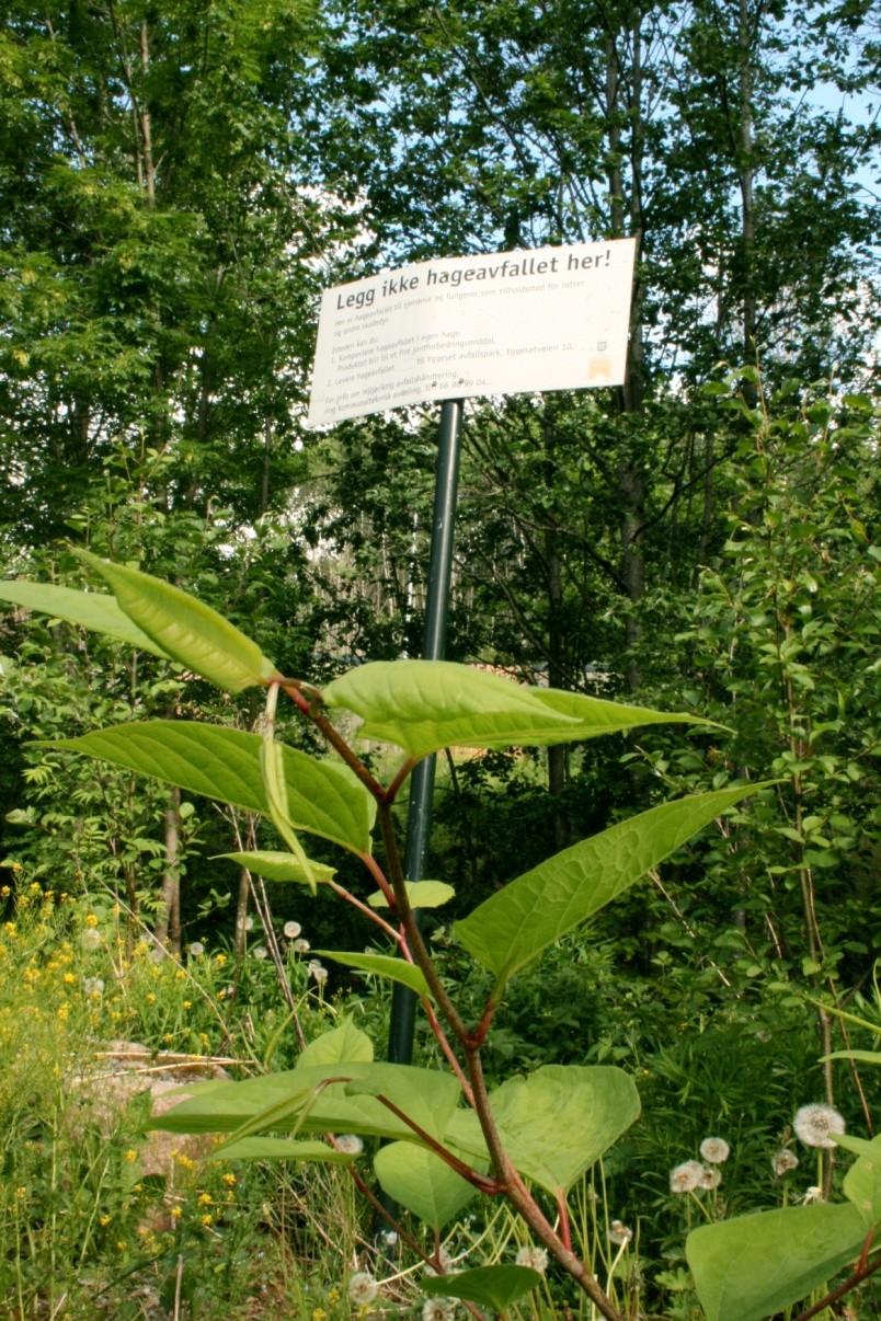 Generell aktsomhetsplikt ( 6) Enhver skal opptre aktsomt og gjøre det som er rimelig for å unngå skade på naturmangfoldet i strid med målene i 4 og 5.