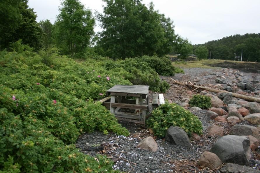 Hvorfor er tiltak for å begrense fremmede arter nødvendige?