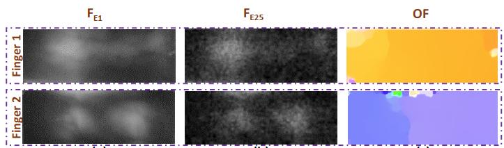 Presentation Attack Detection - Fingervein