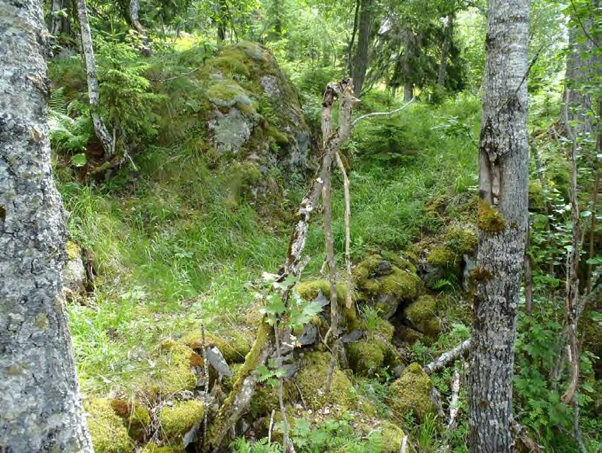 Gammel hestevei på toppen av