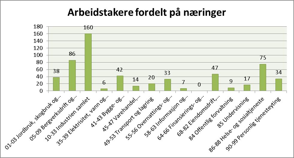 5. Arbeidskraft fra utlandet Nytt i årets undersøkelse er at NAV i Finnmark valgte å spørre de utvalgte virksomhetene om deres forhold til bruk av arbeidskraft fra utlandet.