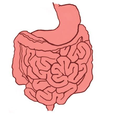 Med tanke på at insulinresistens opptrer så tidlig i sykdomsforløpet til type 2-diabetes bør livsstilsendringer være sentrale både i forebyggelsen og