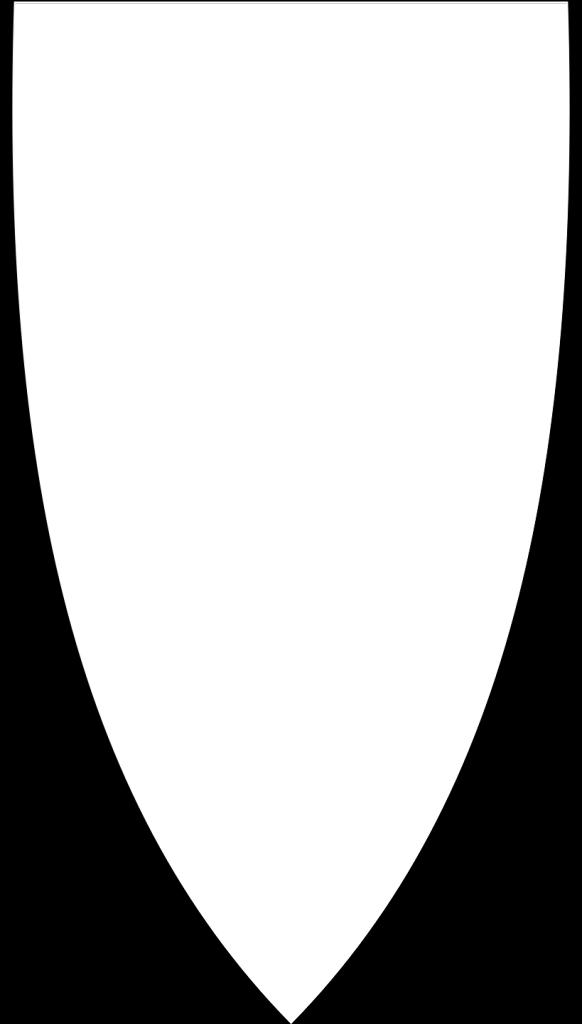 kommune Grunnlag