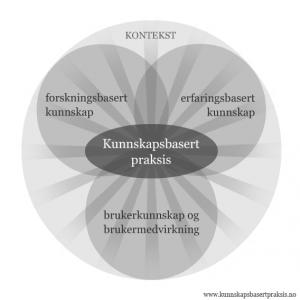 fødselen kan mye skje, og det handler mye om erfaringen til den som forløser barnet. Vi bruker vår erfaringsbaserte kunnskap. 1.