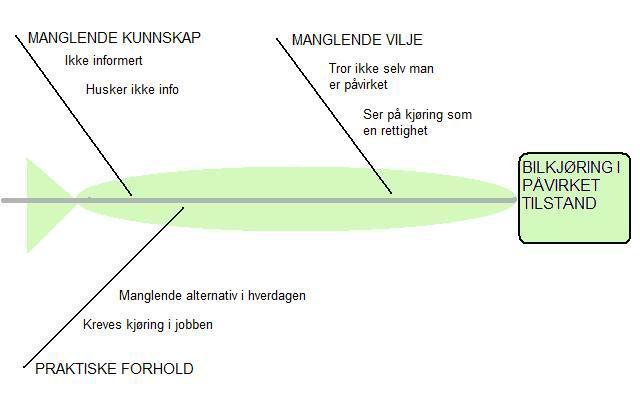 14 problemstillingene opp på et nasjonalt nivå, og man har allerede besluttet å gjennomføre opplæring for primær- og turnusleger i Vestfold. Det forventes at sentrale myndigheter følger opp saken (6).