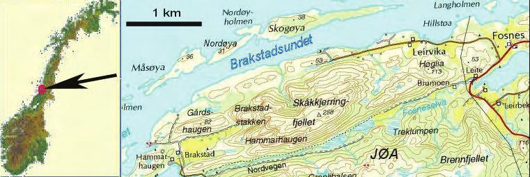 2 Områdeskildring Brakstadøyane er ei øyrekkje på nordsida av Brakstadstadsundet nord for Jøa i Fosnes kommune. Øyrekkja er nesten 4 km lang og berre ca.
