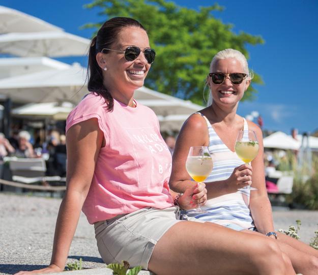 49 BOW RIDER Spontane sommerturer til øyer i nærheten. Planlagte hytteturer. Med en ypperlig allrounder er alt mulig.