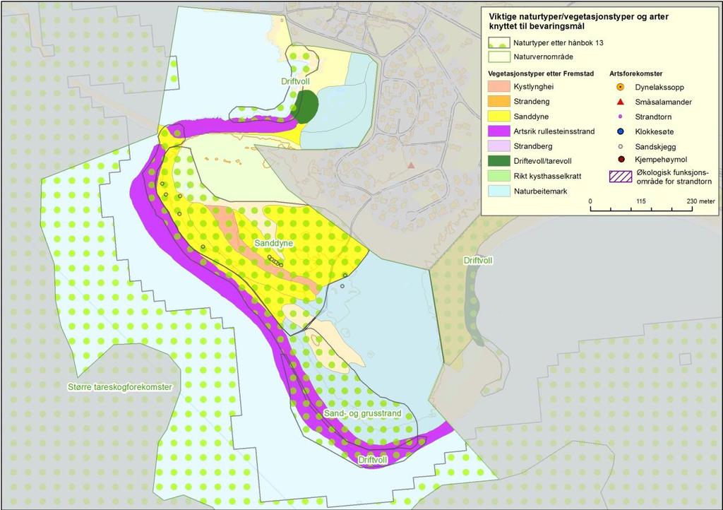 bevaringsmål for Nordhasselvika. 11.