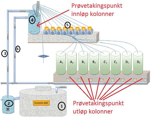 Frå denne siste oppsamlingsdunken, vert gråvatn fordelt vidare til kolonnene med lausmassefiltera, med slangepumper som pumpar 2,5 l/time gjennom Ø6 mm PVC-slangar.