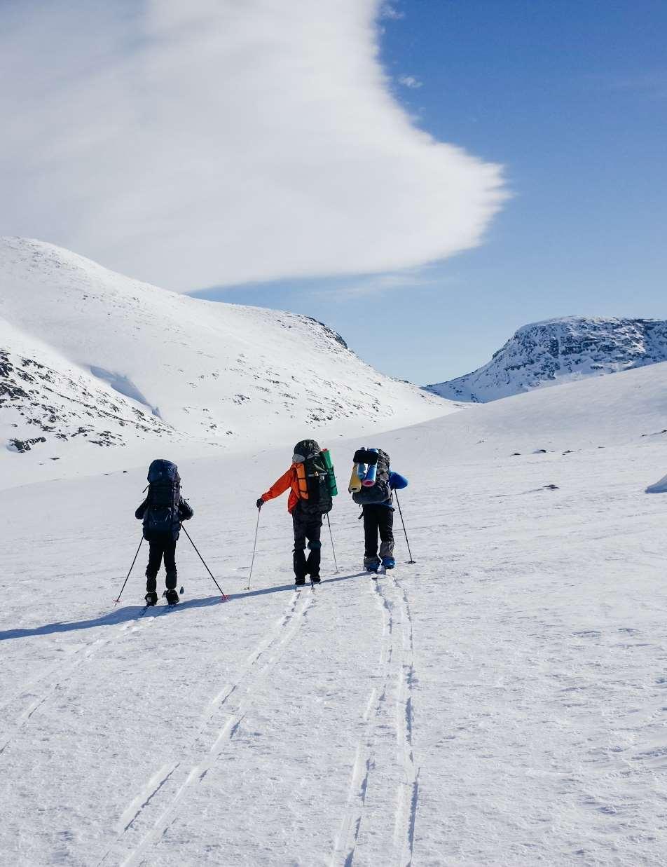 Regnskap 2016 Driftsresultat før tap og skatt 282,1 (239,5) millioner kroner.