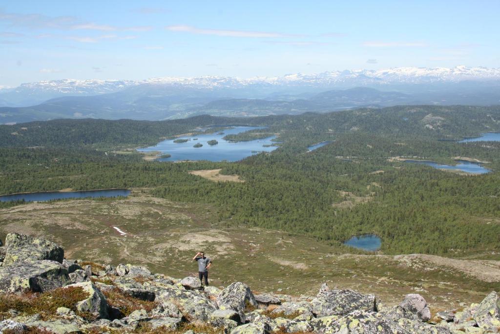 Korte og lengre turar ute i våre