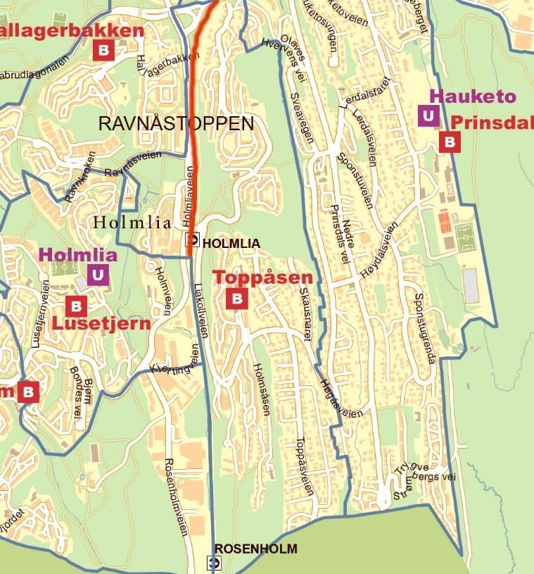 Toppåsen skole Toppåsen skole avgir elever til Hauketo og Holmlia skoler på ungdomstrinnet. Utdanningsetaten foreslår en geografisk grense ved toglinjen på Holmlia.