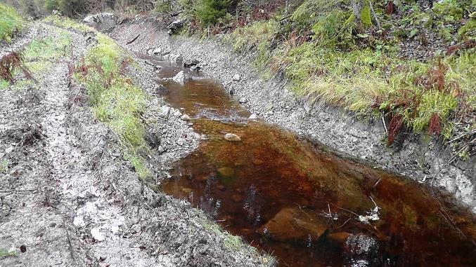 nærmer seg. Bilde 55-56. Forsterke kantene mot myra.