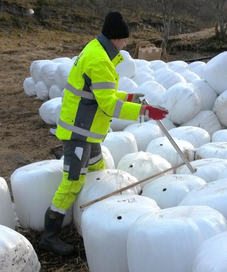 6 Høy, høyensilasje og surfôr som tilskuddsfôr 6.1 Høy Tørt høy har en tørrstoffprosent på 85% og er lagringsstabilt. Låg egenvekt gjør høy velegna for transport.