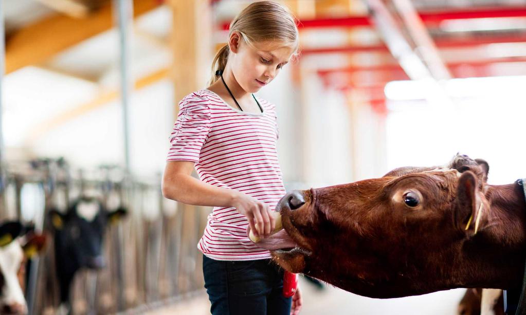 TINEs mål Gi eierne en best mulig melkepris Være en attraktiv arbeidsgiver TINEs visjon «Sammen skaper vi ekte matopplevelser folk vil ha» Gi våre kunder og forbrukere verdi for