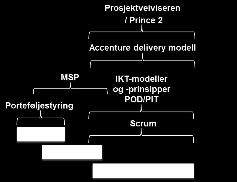 Figur 7-4 Styringsmodeller - Portefølje, program og prosjekter Dagens prosjektmodell i politiet er basert på prosjektveiviseren, utarbeidet av Difi, og Prince2.