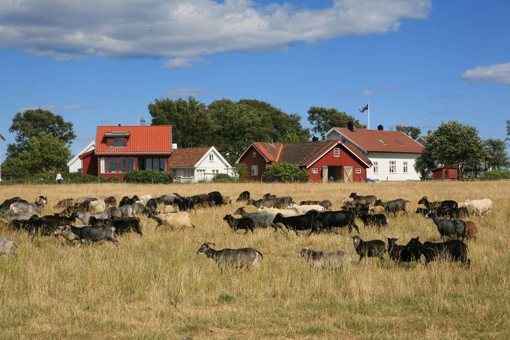 Utvalgt kulturlandskap i