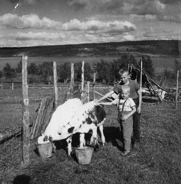 Hva er et landskapsbilde? Udat.