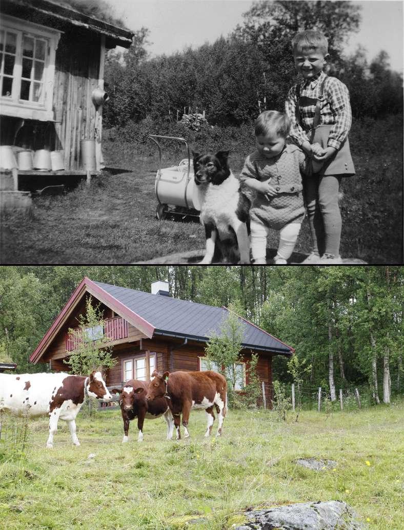 Det eksakte fotoståstedet og de små triks 1953.