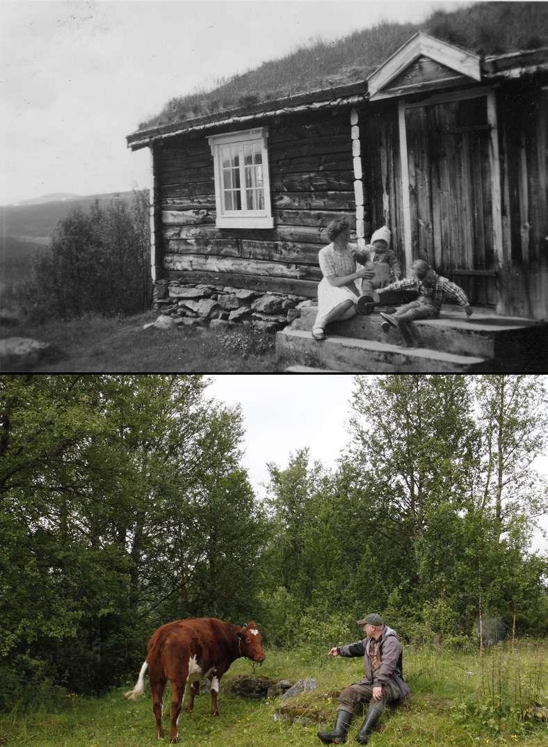 Hus er som møbler i et rom de kan flyttes 1953.