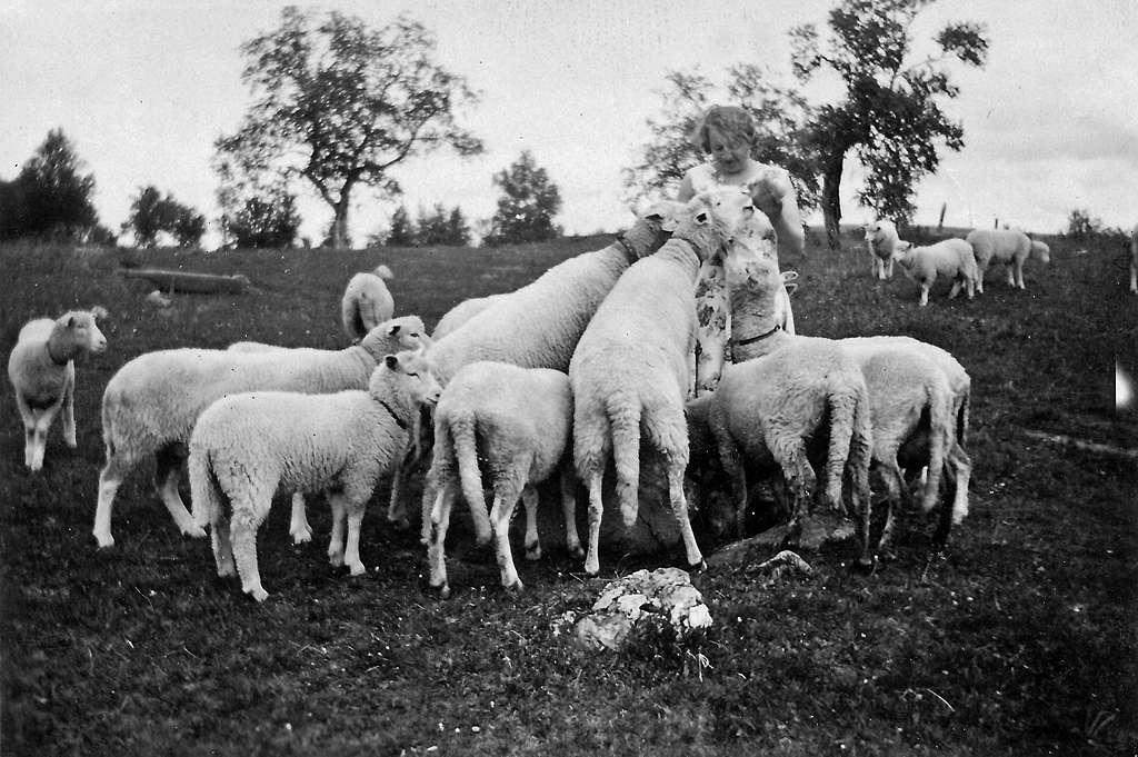 Ca. 1937. Kløftåsen.