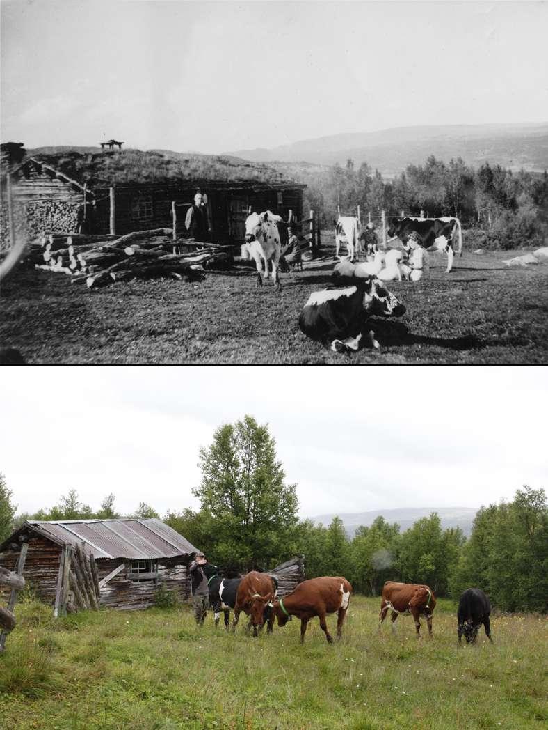 Vi kan dessverre ikke ta vare på alt 1946.