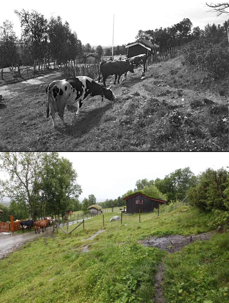 Utfordring å gjenskape det eldste bildets stemning 1983.