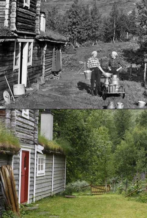 Budeier i åpent landskap Ca. 1955.