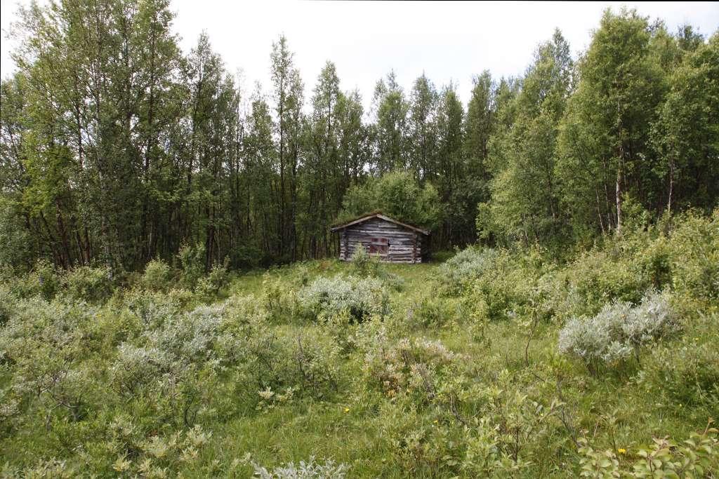 Gammel utslåtte ved den restaurerte