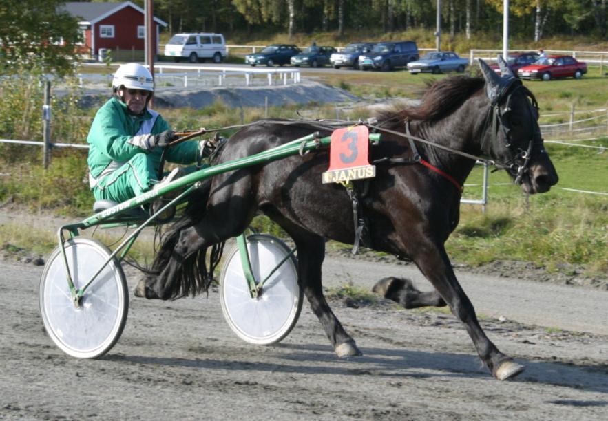 Lokalkjøring Sesongfinale på Sørlandets Travpark Søndag 2. oktober 2011 kl. 13 Kjøringen er kun åpen for hester/ponnier som har startet på lokalkjøringer i Agder i 2011. - Løp i alle klasser.