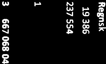 15 669 795,17 15 028 012,17 22499011 Avskriving 22499010-11 013 218,73-9 676 756,17 22499020 Anleggsmaskiner, inventar og utstyr 18 247 219,99 17754834,99 22499021 Avskriving 22499020-9 599