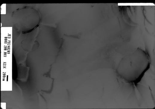 Figur 39 Bilde fra TEM som inneholder to Ag-partikler i hhv. øvre venstre og nedre høyre hjørne. Dette er et negativ av et lysfeltbilde. 4.4.1.
