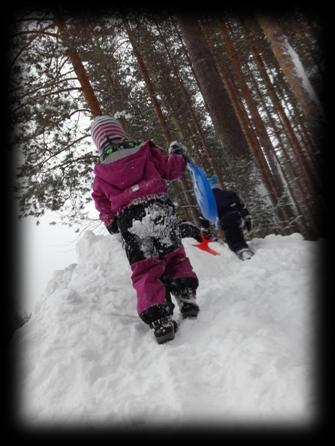 FOKUSOMRÅDE VÅRHALVÅRET 2016 Lønneberget er en barnehage i oppstartfase, og vi ønsker å videreføre mye av innholdet vi hadde som familiebarnehage.