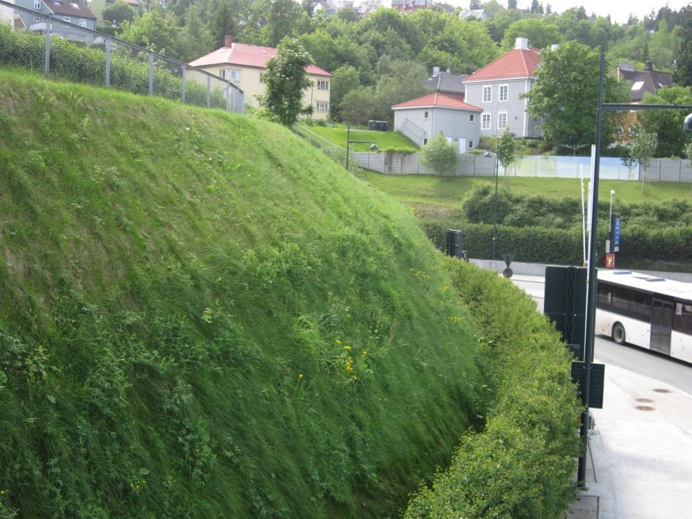 Gabioner kan brukes hvor det er skråninger og man har knapt med plass. Eller der man ønsker at muren skal bli en naturlig del av landskapet.