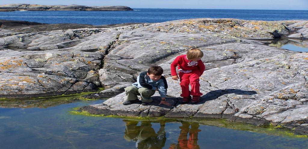 Geografisk fordeling av områdene Finnmark, Troms, Sogn og Fjordane og