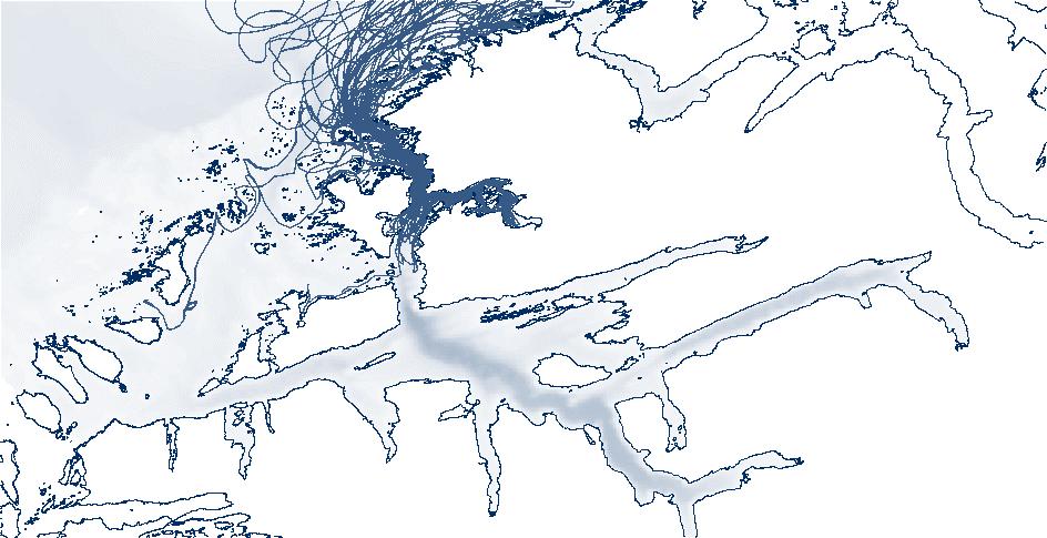 2.5.4 Modellering av postsmolt Figur 13 viser noen modellerte utvandringsmønstre for postsmolt fra Isavassdraget og Syltelva og Figur 14 viser utvandringen ved tre tidspunkt.