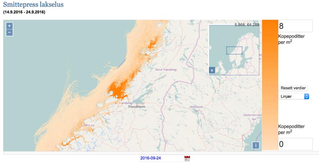 Figur 4. Eksempel på fordeling av smittsomme lakseluskopepoditter. Fordelingen gjelder for perioden 14-24. september 2016 og viser antall kopepoditter pr. m 2 utenfor Midt-Norge.