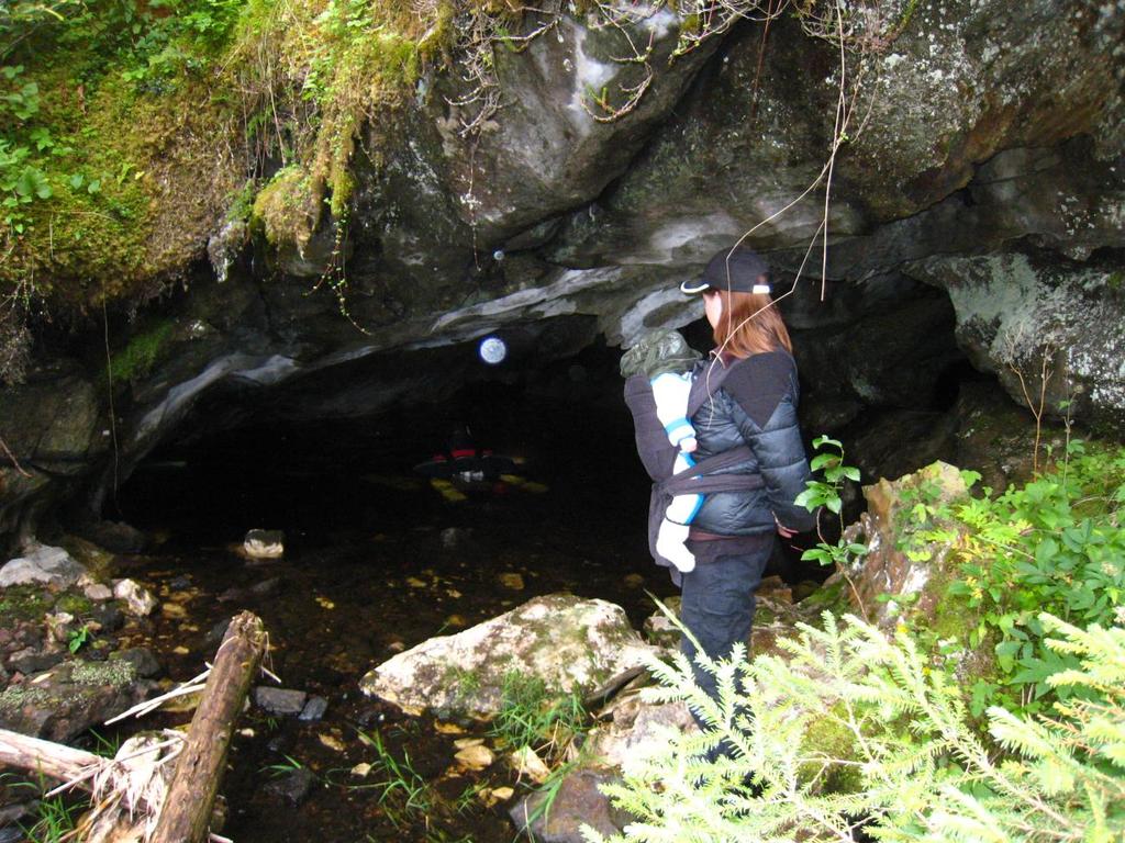 Øvre Navangrotta Velfjord, Nordland LENGDE 132 m DYBDE 14 m Øvre Navangrotta er stort sett en ganske romslig grotte med et par trangere punkt.