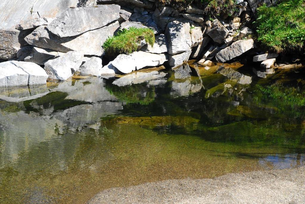 Kulp 1 Røyrvik, Nord-Trøndelag LENGDE Ca. 20 m DYBDE 4 meter Inngangen ser ut til å ha rast sammen, og det er ikke mulig å komme inn her lengre Ved inngang Kulp 1. Foto: Robert Staven 2008 31.07.