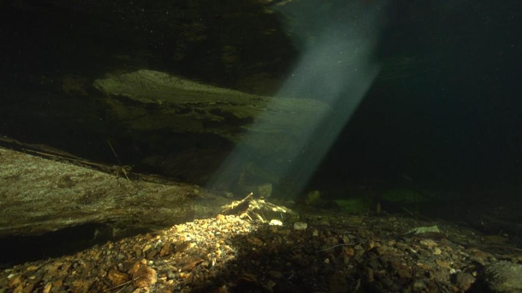 Siden elva har sin vei gjennom grotta er sikta ofte deretter, og man finner mye tremateriale som har blitt dratt inn av vannet.