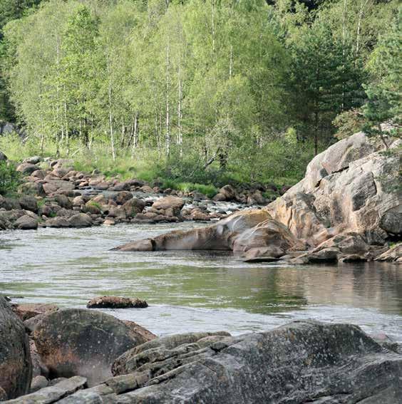 1 2017 Feb 2017 Årgang 23 ph-status FORUM FOR SUR NEDBØR OG KALKING Av innholdet: Redaktørens spalte side 2 «Skandinavisk» sjøørretseminar i Fevik side 3 Spennende silikatprosjekt i Jørpelandselva