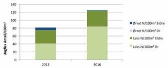 Figur 3: Gjennomsnittlige ungfisktettheter fra første gangs overfiske på NINAs stasjon 8, 9 og 10 fra 2013 (rapportert i Miljødirektoratet, 2014), samt egne data fra transektfiske på tre stasjoner i