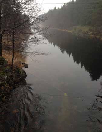 Nytt anlegg i Audna gir bedre vannkvalitet i hele elva I høst sto et nytt kalkingsanlegg i Audna klart, og så langt ser det ut til å fungere bra.