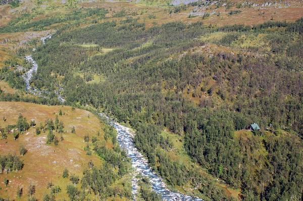 Rieppevatnet, ligger delvis skjermet mot innsyn.