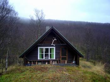 Området i Skognesdalen inngår som en del av et større jaktvald, med fellingsløyve på en til to elg årlig, og det foregår noe småviltjakt i deler av dalen.